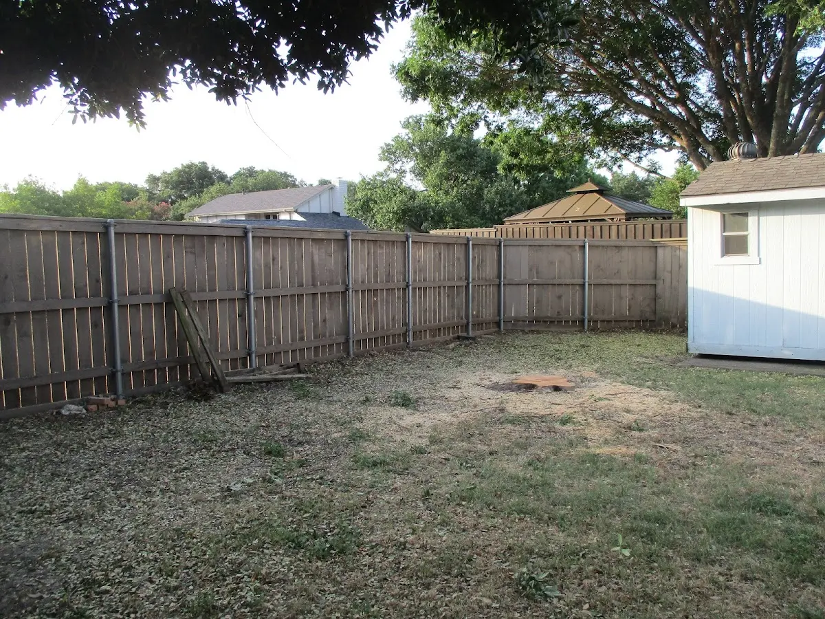Cleared yard after professional tree removal in Wichita Falls